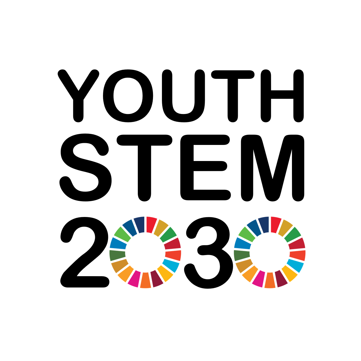 Youth STEM 2030