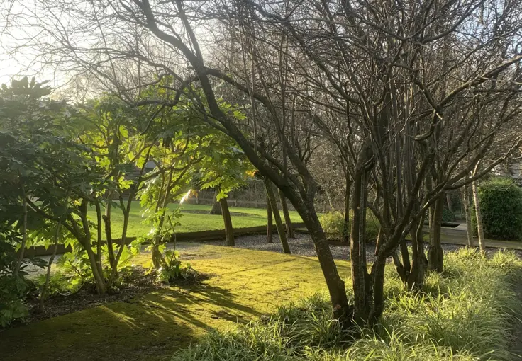 Community Gardener | The Hidden Gardens