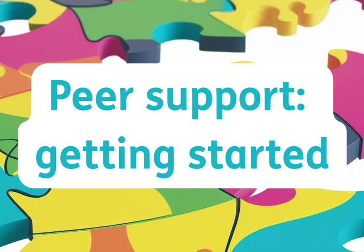 Scottish Recovery Network: Peer Support Session