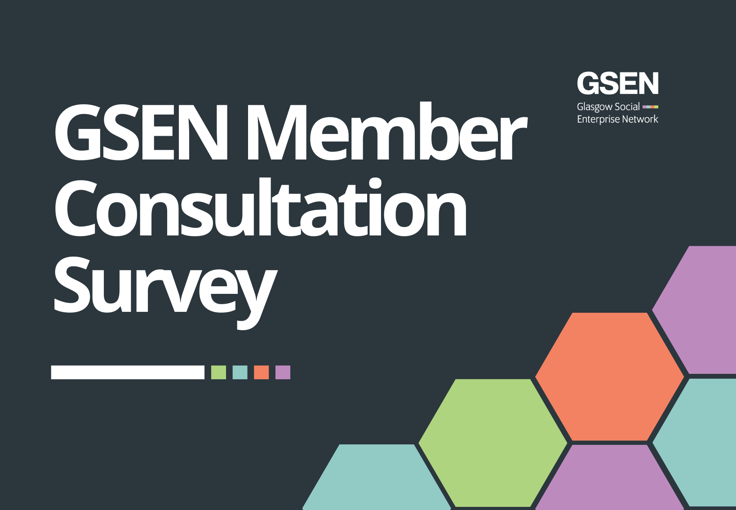 GSEN Member Consultation Survey